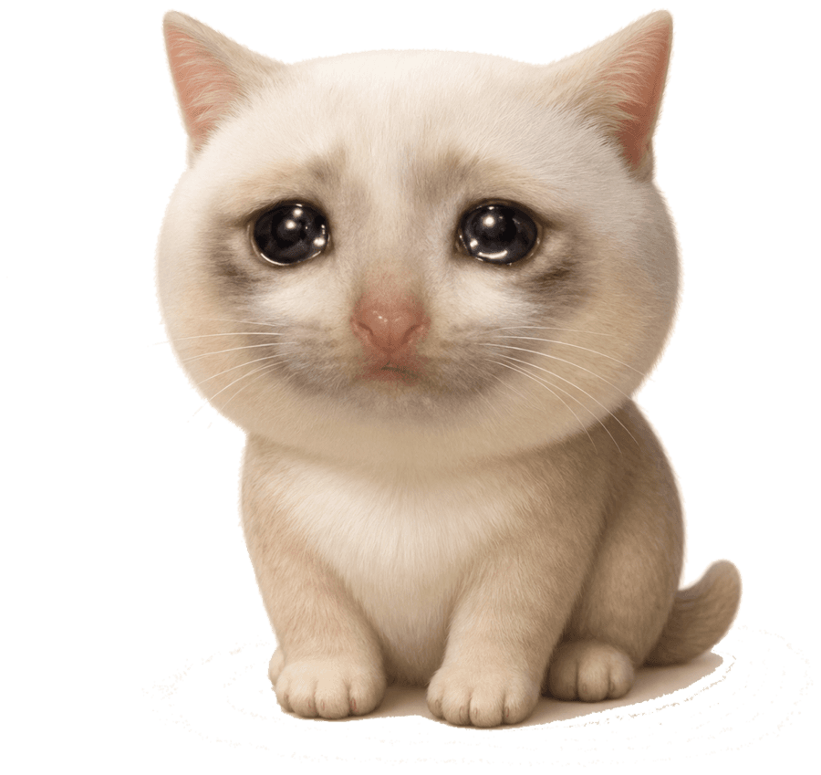 Mini Cash Cat, a tiny crying kitten